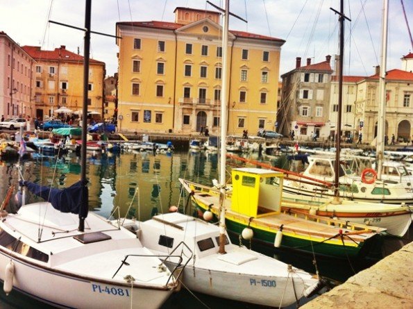 Piran, Guillaume 716