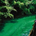 Bled_Soteska_Vintgar_2